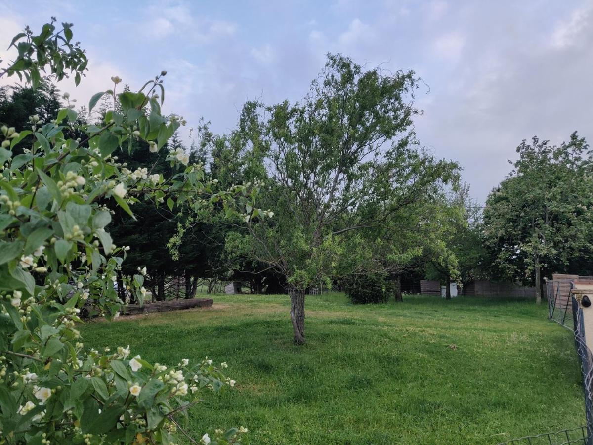 Le Gite Nature Bien-Etre Piscine Chauffee Privee Du Tarn Entre Toulouse Et Albi & Les Cottages Du Tarn Peyrole Екстериор снимка