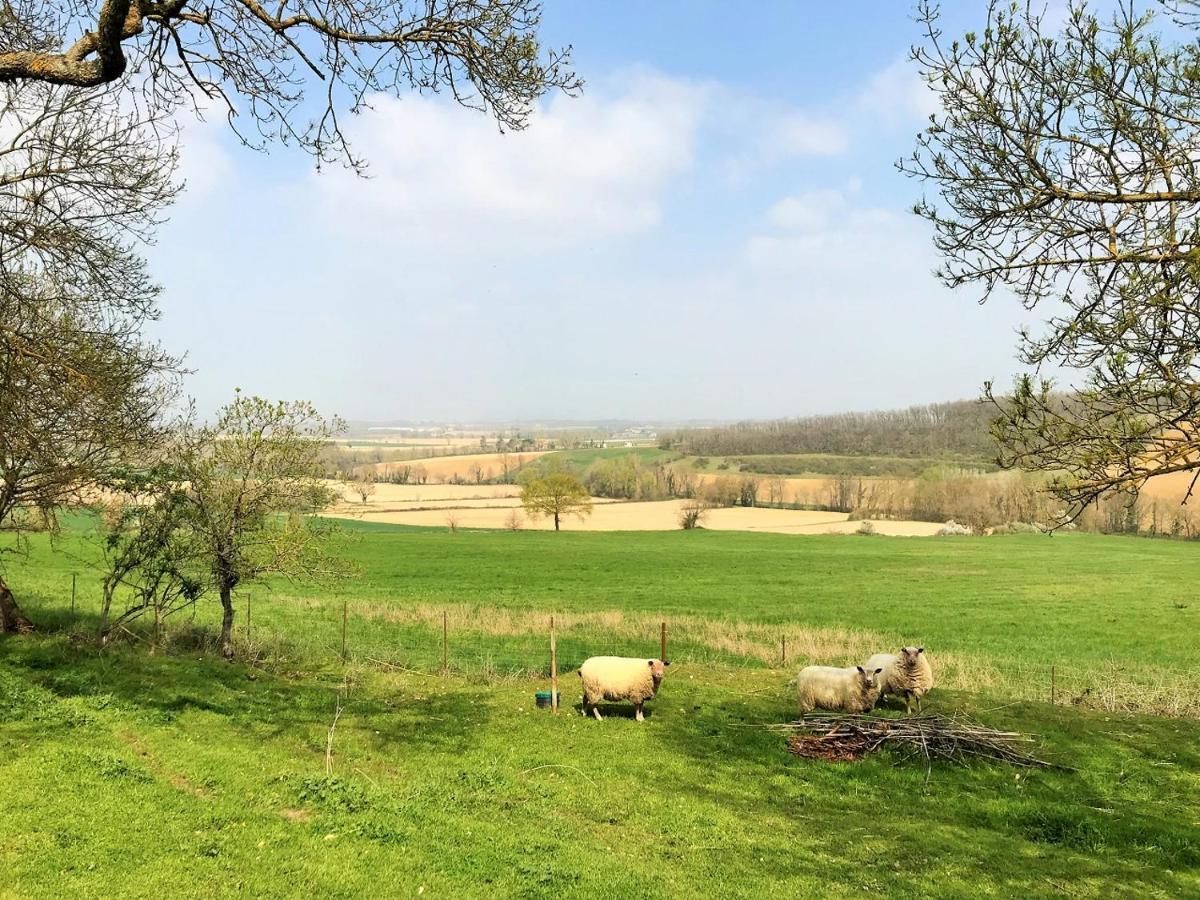 Le Gite Nature Bien-Etre Piscine Chauffee Privee Du Tarn Entre Toulouse Et Albi & Les Cottages Du Tarn Peyrole Екстериор снимка